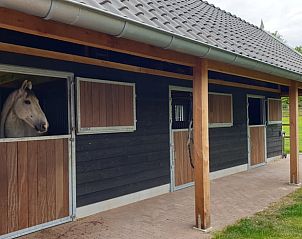 Unterkunft 324903 - Ferienhaus Veluwe - Vakantiehuis in Loenen