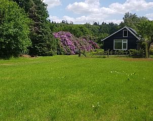 Unterkunft 324909 • Ferienhaus Veluwe • Vakantiehuisje in Loenen 