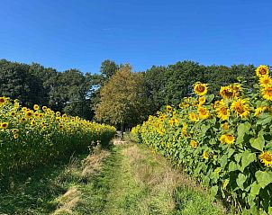 Unterkunft 324911 - Ferienhaus Veluwe - DG1555