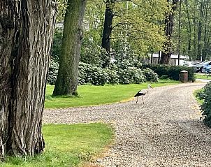 Unterkunft 324911 - Ferienhaus Veluwe - DG1555