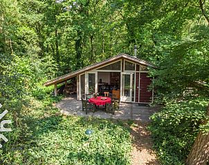 Unterkunft 324917 • Ferienhaus Veluwe • Uniek gelegen 4 persoons boshuisje aan de rand van de Veluwe 