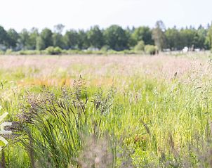 Unterkunft 324917 - Ferienhaus Veluwe - DG647