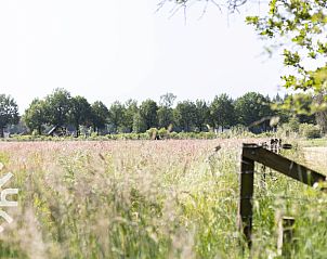 Unterkunft 324917 - Ferienhaus Veluwe - DG647