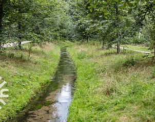 Unterkunft 324920 - Ferienhaus Veluwe - DG1763
