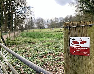 Unterkunft 324920 - Ferienhaus Veluwe - DG1763