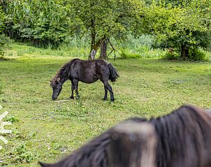 Unterkunft 324920 - Ferienhaus Veluwe - DG1763