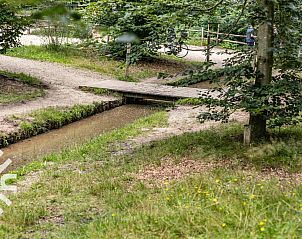 Unterkunft 324920 - Ferienhaus Veluwe - DG1763