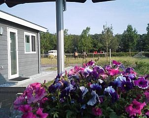 Guest house 325102 - Chalet Veluwe - Van Luttikhuizen chaletverhuur Zwaantje 1