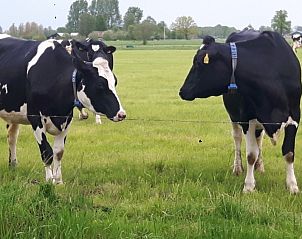 Guest house 325102 - Chalet Veluwe - Van Luttikhuizen chaletverhuur Zwaantje 1