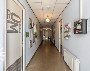 Uitgestrekte tuin bij DG123 vakantiehuis in Teuge Veluwe met trampoline en grasveld.