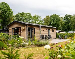 Unterkunft 325305 - Ferienhaus Veluwe - Vakantiehuis in Lieren