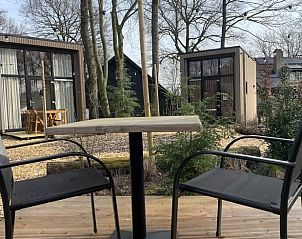 Outdoor terrace overlooking Cottage in Lieren, in the middle of Veluwe nature.