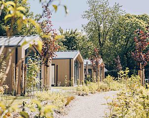 Verblijf 325323 - Vakantiewoning Veluwe - Tiny Lodge met hottub