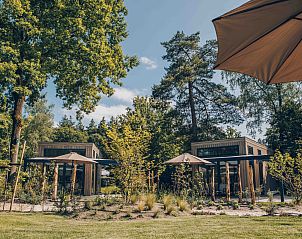 Verblijf 325341 - Vakantiewoning Veluwe - Reeëndal Lodge Comfort