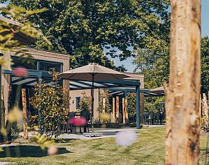 Verblijf 325341 - Vakantiewoning Veluwe - Reeëndal Lodge Comfort