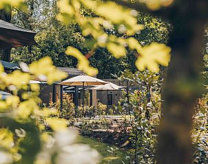 Verblijf 325341 - Vakantiewoning Veluwe - Reeëndal Lodge Comfort