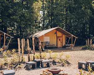 Verblijf 325344 - Tenthuis Veluwe - Safaritent