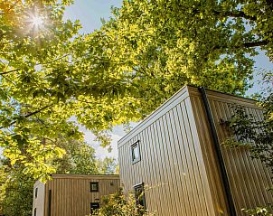 Verblijf 325346 - Vakantiewoning Veluwe - Reeëndal Lodge