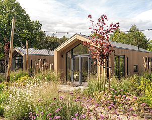 Verblijf 325364 - Vakantiewoning Veluwe - Tiny Lodge