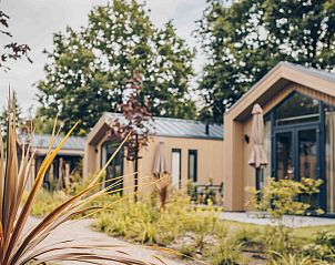 Verblijf 325364 - Vakantiewoning Veluwe - Tiny Lodge