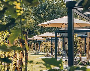 Guest house 325374 - Holiday property Veluwe - Rosendael met hottub