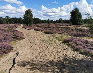 Verblijf 325516 - Vakantiewoning Veluwe - Vakantiehuisje in Wekerom