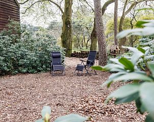 Unterkunft 325520 - Ferienhaus Veluwe - Vakantiehuis in Wekerom