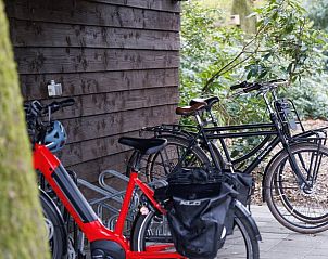 Unterkunft 325520 - Ferienhaus Veluwe - Vakantiehuis in Wekerom