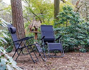 Unterkunft 325521 - Ferienhaus Veluwe - Huisje in Wekerom