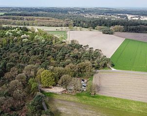 Unterkunft 325521 - Ferienhaus Veluwe - Huisje in Wekerom