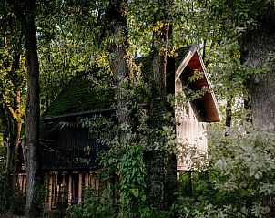Verblijf 325528 - Vakantiewoning Veluwe - Natuur Villa met Hottub & Sauna | 4 personen