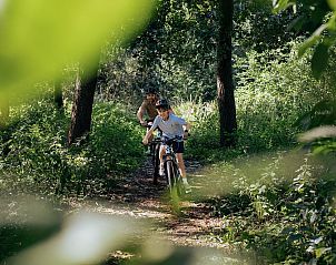 Guest house 325534 - Holiday property Veluwe - Natuur Villa met Hottub & Sauna | 2 personen