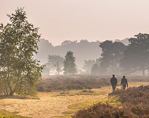 Guest house 325534 - Holiday property Veluwe - Natuur Villa met Hottub & Sauna | 2 personen