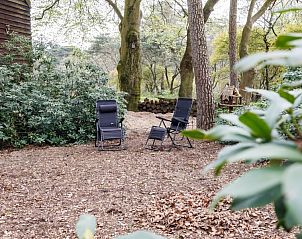 Rustige tuin met ligstoelen bij Wicherumloo huisje Hert, bed and breakfast in Wekerom, Veluwe, Gelderland.