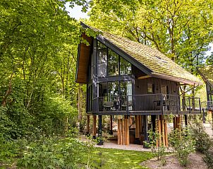 Unterkunft 325537 - Ferienhaus Veluwe - Natuur Villa met Hottub | 2 personen