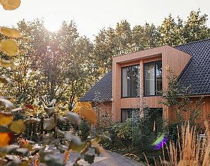 Guest house 325543 - Holiday property Veluwe - Heide Villa met Hottub & Sauna | 18 personen