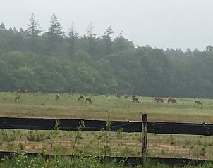 Unterkunft 325603 - Ferienhaus Veluwe - Vakantiehuis in Hoog Soeren