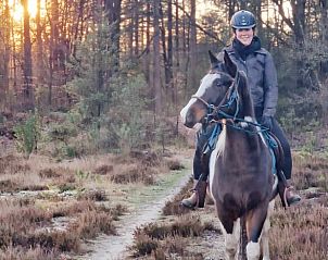 Unterkunft 325603 - Ferienhaus Veluwe - Vakantiehuis in Hoog Soeren