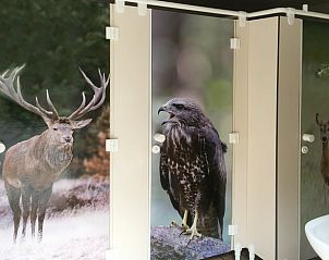 Unterkunft 325604 - Ferienhaus Veluwe - Vakantiehuisje in Hoog Soeren