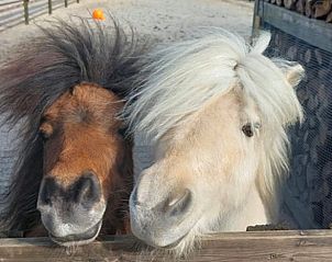Unterkunft 325604 - Ferienhaus Veluwe - Vakantiehuisje in Hoog Soeren