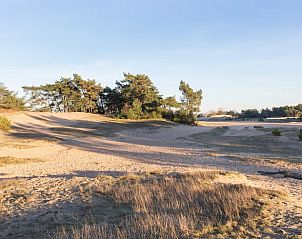 Unterkunft 325604 - Ferienhaus Veluwe - Vakantiehuisje in Hoog Soeren