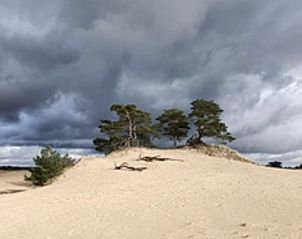 Unterkunft 325604 - Ferienhaus Veluwe - Vakantiehuisje in Hoog Soeren