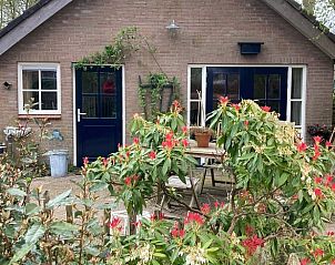 Voorzijde van Vakantiehuis in Laag Soeren, Veluwe met kleurrijke bloemen.
