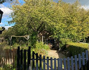 Ingang van Vakantiehuis in Laag Soeren, Veluwe met uitnodigend tuinpad.