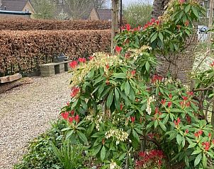 Groene tuin met bloemen bij Vakantiehuis in Laag Soeren, Veluwe.