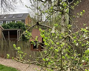 Vogelhuisje in de tuin van Vakantiehuis in Laag Soeren, Veluwe omgeven door natuur.