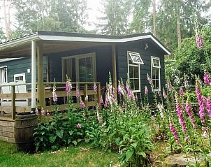 Unterkunft 325805 - Chalet Veluwe - Woudhof
