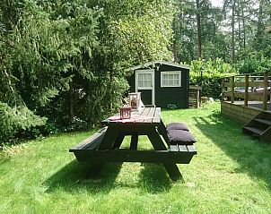 Unterkunft 325805 - Chalet Veluwe - Woudhof