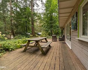 Unterkunft 325806 - Chalet Veluwe - Jutberg 78, No. 41