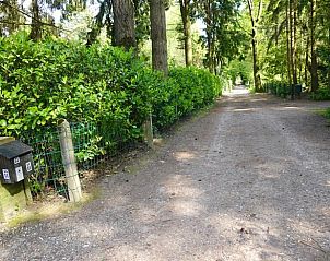 Unterkunft 325909 - Ferienhaus Veluwe - Vakantiehuisje in Bennekom